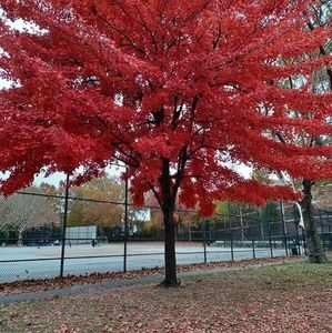 Meet your Posher, Lina